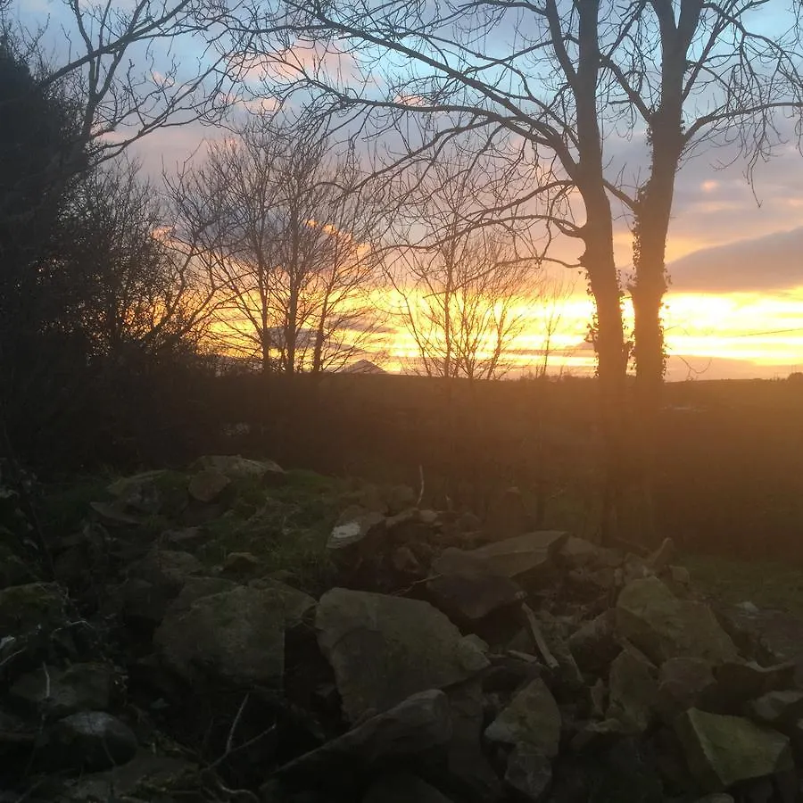 Chalet Westport Glamping At Doon Angus Farm Villa