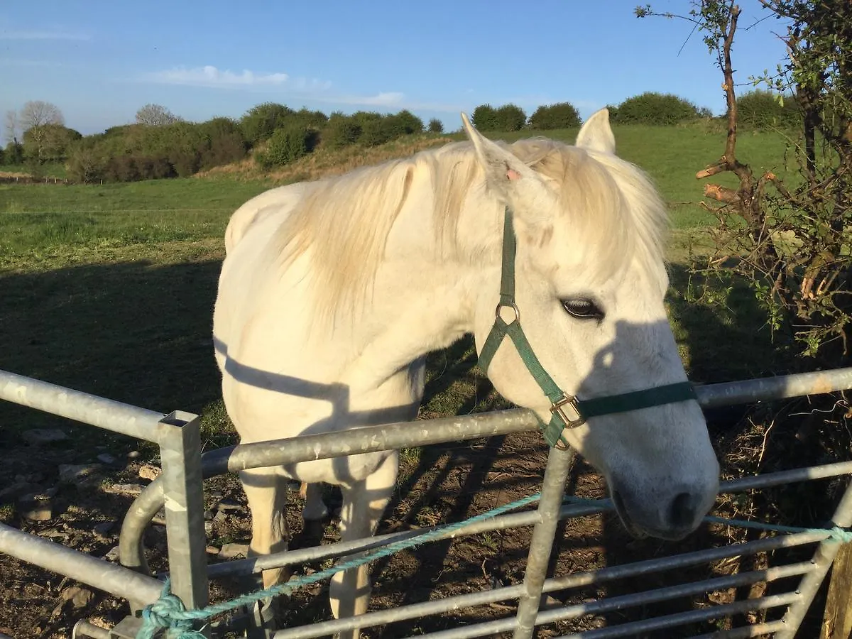 Westport Glamping At Doon Angus Farm Villa 0*,